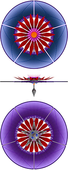 Top and front view of xxx